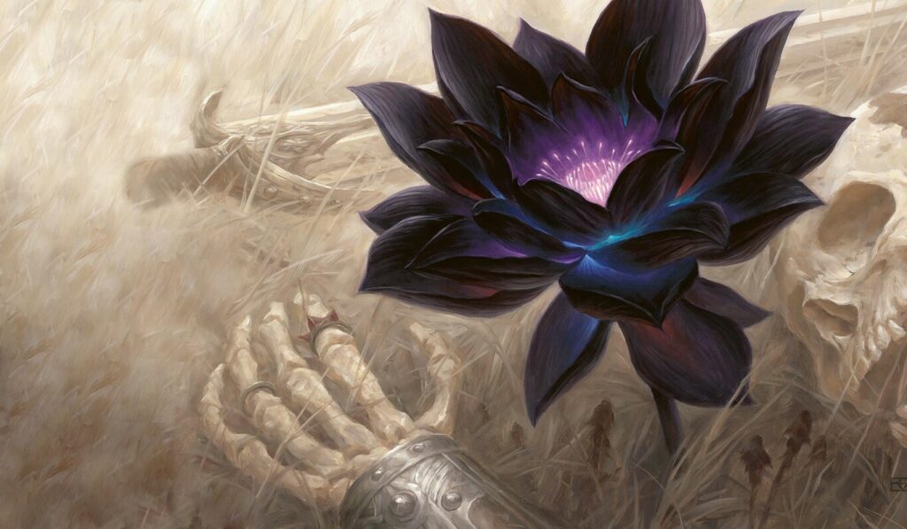 black lotus